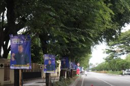 Pemasangan APK caleg di pohon masih marak di Aceh, ini dampaknya ke lingkungan