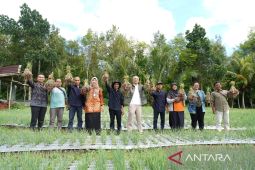 Saat harga naik, Poktan Timur Makmur panen bawang merah