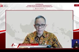 OJK waspadai sejumlah tekanan terhadap pasar keuangan pada 2024