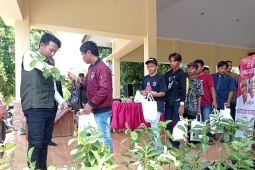 Komunitas Jatim Beragam bagikan bibit tanaman ke warga