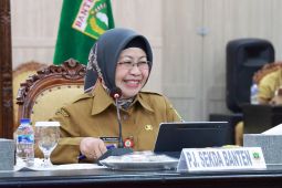 Pemprov Banten usung "BANTEN G.O.L.D", brand investasi berkualitas