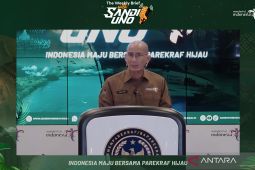 Middle Eastern investors' interest in Indonesia still high: minister