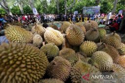 Pemkab Bener Meriah prioritas pemanfaatan dana desa untuk desa wisata