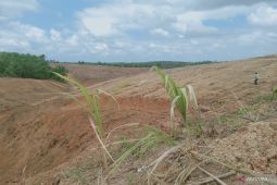 Bank Tanah siapkan lahan warga terkena  proyek Bandara Kota Nusantara