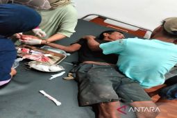 A crocodile snatches a child to death in Kotabaru