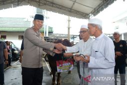 Kapolri sumbang sapi untuk Haul ke-19 Guru Sekumpul