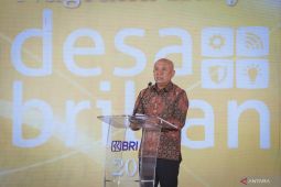 MenKopUKM: UMKM kunci pengembangan potensi desa