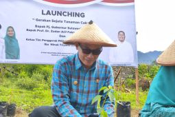 Pemprov Sulbar mendistribusikan 10 ribu bibit cabai ke Korem 142/Tatag