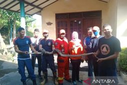 BPBD Belitung evakuasi 97 ular di rumah warga sepanjang 2023