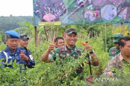 Kodim 0901/ Samarinda kampanyekan tanam cabai demi ketahanan pangan