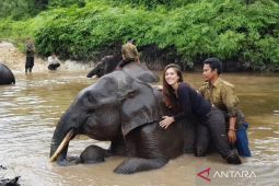 Wulan Guritno minta kasus Rahman yang mati dan hilang gadingnya diusut tuntas