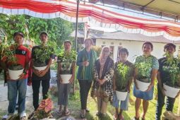 Pj Wali Kota Ambon minta perangkat desa tanam cabai di lahan kantor desa