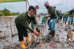 LDII ungkap strategi perbaiki kualitas udara di Hari Lingkungan Hidup