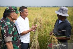 Pj Gubernur Jabar optimistis budi daya padi teknologi Salibu tingkatkan produksi