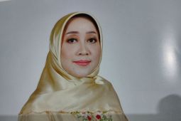 Caleg Kalsel Dewi Damayanti lapor hilang baliho ke Bawaslu
