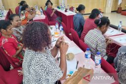 Pemkab Manokwari kembangkan seni noken