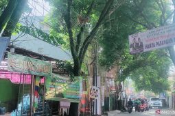 Satpol PP Cianjur tertibkan ratusan APK peserta Pemilu 2024