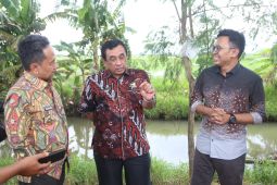Pemkot Serang bentuk BUMD fokus pada kerawanan pangan dan gizi