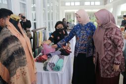 Pj Ketua Dekranasda Sumut  minta setiap daerah punya produk unggulan