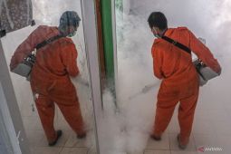 Pencegahan Sebaran DBD