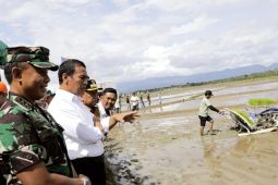 Mentan tambah anggaran Rp14 triliun untuk pupuk subsidi