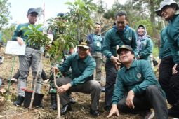 Pj Gubernur: Gerakan tanam  pohon kesinambungan harus ditingkatkan