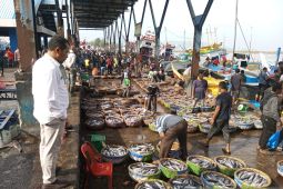 Stabilkan harga ikan, Pemerintah Aceh optimalkan pengelolaan gudang pendingin