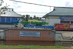 Gerakan 3M plus efektif cegah penyakit DBD