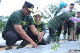 Pj Gubernur gaungkan gerakan "Semarak Babel" tekan inflasi
