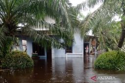 BPBD pantau sejumlah lokasi rawan banjir di Mukomuko