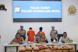 Polres Mandailing Natal tangkap dua kurir 116 kilogram ganja