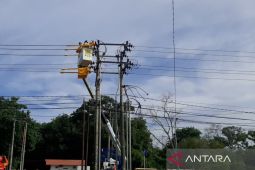 Jaga keandalan listrik tanpa padam, PLN Babel maksimalkan petugas PDKB