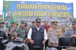Pj Gubernur: Lahan kritis akibat tambang ilegal di Babel 167.065 hektare