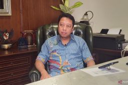 Romy sebut pejuang PPP dukung Prabowo telah melawan kebijakan partai