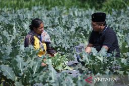 Blusukan ke Lamongan, Gus Nabil cari solusi permasalahan pupuk