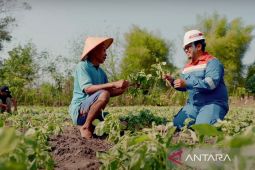 Bukti menjaga kelestarian lingkungan, Pertamina raih penghargaan Indonesia Green Awards 2024