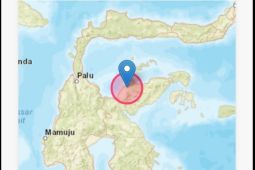 Sesar aktif picu gempa M5,4 di wilayah Ulubongka, Tojo Una-una