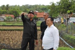 Pengembangan beras basmati untuk sejahterakan petani Garut