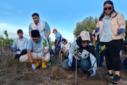 TKN Fanta tanam mangrove hingga bersih pantai di Tangerang