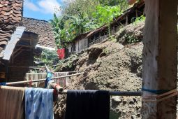 Cuaca ekstrem sebabkan pohon tumbang dan gerakan tanah di Bantul