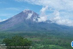 Gunung Semeru erupsi dua kali
