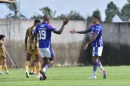 Miro Petric: Kondisi fisik pemain Persib makin baik