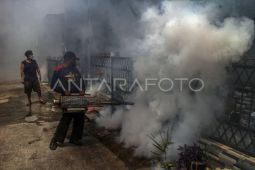 Fogging mencegah peningkataan kasus DBD di Depok