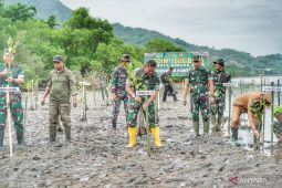 TNI tanam 3.000 bibit mangrove di Pantai Amahami Bima NTB