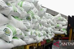 KTNA Karawang: Pengurangan kuota pupuk subsidi khawatirkan petani