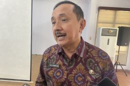 Dispar Bali uji aplikasi pungutan  wisman hingga akhir Januari 2024