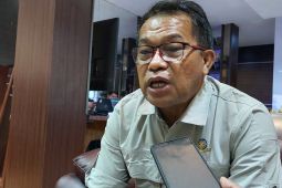 Bandara DEO: 13.221 wisatawan asing kunjungi Sorong pada 2023
