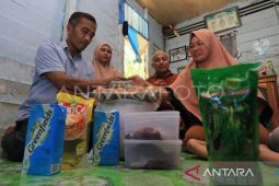 Desa di Aceh gunakan Rp391,9 miliar dana desa untuk stunting
