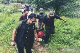 Polisi Bangka Barat tetapkan dua tersangka tambang liar di perkebunan