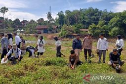 Petugas KPPS Rejang Lebong tanam 5.712 aneka jenis pohon